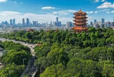 188足球捷报比分-188足球捷报比分，球迷的实时信息宝库与激情源泉